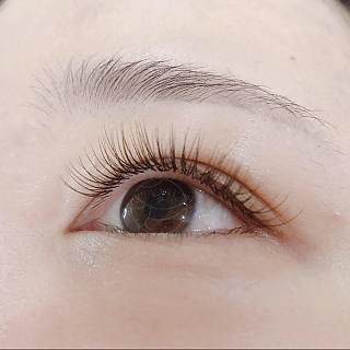 다크브라운 thumbnail image